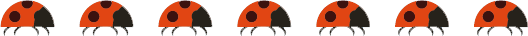 coccinelle